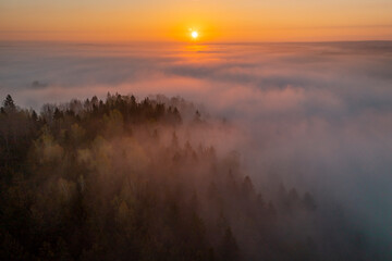 Wonderful sunrise above the foggy forest