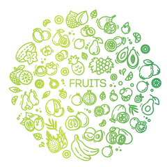 Fruits doodle drawing collection. Vector illustration