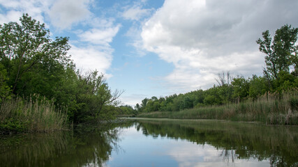 Fototapeta na wymiar Beautiful swamp, nature reserve Carska bara in Serbia.