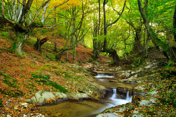 Mountain river in late Autumn