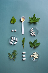 Alternative medicine, pills and green leaves - obrazy, fototapety, plakaty