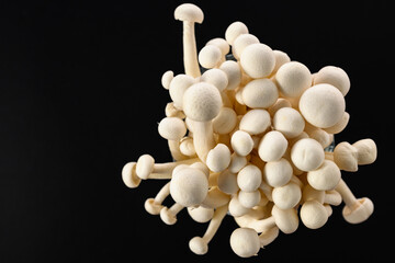 Shimiji mushrooms, oyster mushroom from East Asia on black background, top view, empty space for text