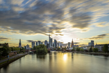 Fototapeta na wymiar Cleane und moderne Frankfurter Skyline im Hintergrund im Kontrast zu natürlichen und organischen Elementen im Vordergrund
