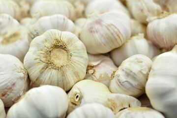 Garlic in a supermarket