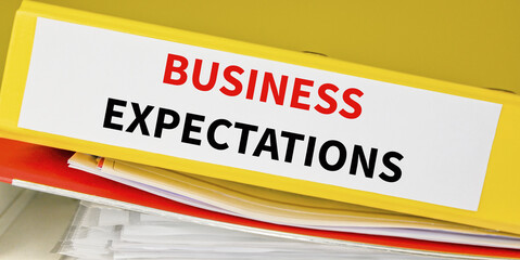 stack of two binders with text Business expectations