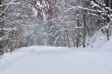 Winter road in the mountains.