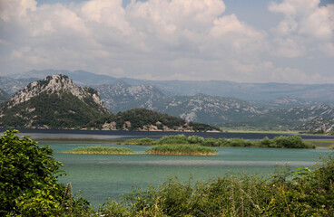 lake of the Scadar lake in Montenegro