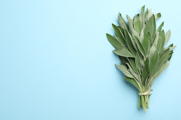 Bunch of fresh sage on turquoise background, top view. Space for text