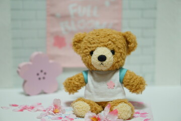 桜が好きなベアー