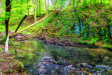 Holzhindernisse im Brexbach im Westerwald