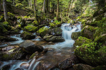 La cascade du Rummel est une chute d'eau du massif des Vosges située sur la commune de Lepuix dans...