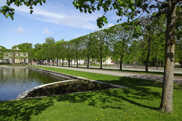 Pond in Kadriorg park in Tallinn, Estonia with a lot of green trees foliage and grass around. Blue sky with white clouds on a spring warm day.
