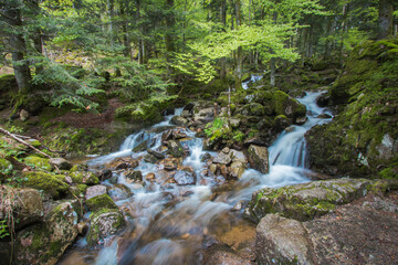 La cascade du Rummel est une chute d'eau du massif des Vosges située sur la commune de Lepuix dans le territoire de Belfort. Très beau site naturel, frais, calme et reposant.