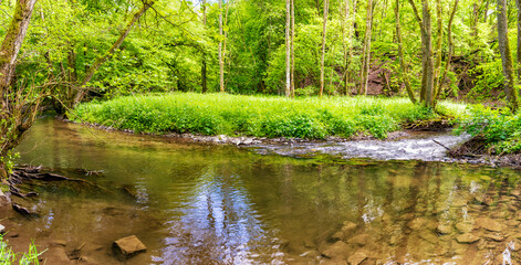 Stiller Abschnitt in der Brexbachschlucht