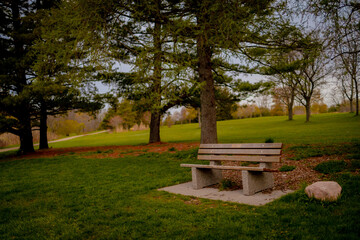 Lonely bench in a park