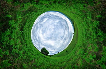 Stereographic panoramic projection of a green field in the summer with an aesthetic tree. 360...