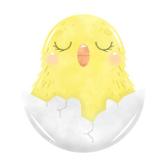Hand drawn cute Easter chick isolated on white background. Hand paint illustration.
