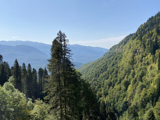 View from the trekking trail Rosa Khutor Ski Resort, Sochi, Russia. Roza Pik is the summit of the Aibga mountain range, which is located at an altitude of 2320 m.