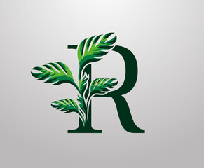 Letter R monstera green plant icon, tropical leaves decorative logo