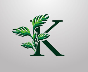 Letter K monstera green plant icon, tropical leaves decorative logo © bintank