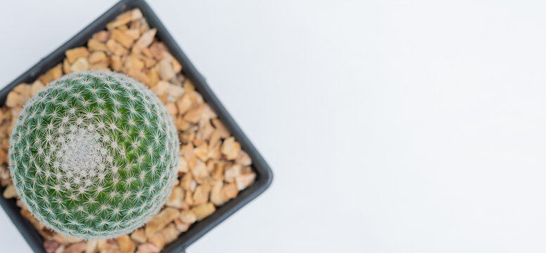 Closw Closw=-Bilder: Stock-Fotos & -Videos. | Adobe Stock