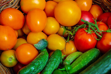 ripe juicy tasty natural red and yellow tomatoes and green cucumbers in a wicker basket, healthy food concept