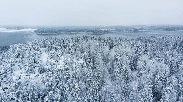 Aerial winter landscapes in Finland. Snow covered trees.