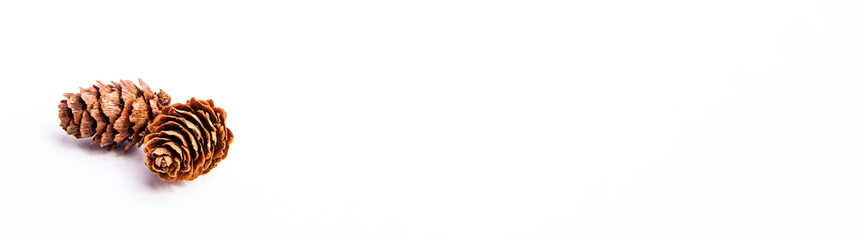 Banner of two small pine cone isolated on white background with copy space. Winter holidays and autumn concept