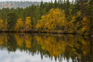 Autumn landscape in Muonio, Lapland, Northern Finland