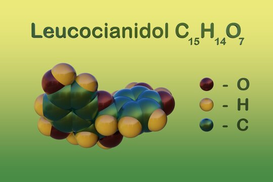 Structural chemical formula and space-filling molecular model of leucocianidol, a vasoprotector derived from dihydro-quercetin and a precursor to cyanidin. 3d illustration