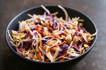 Home made coleslaw with sprouted lentils and carrots.