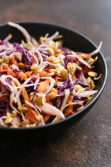 Home made coleslaw with sprouted lentils and carrots.
