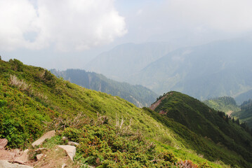 Green hills and landscape
