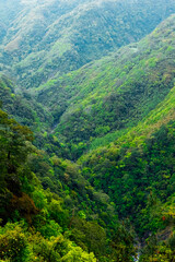 Fototapeta premium A deep gorge with intertwined mountains