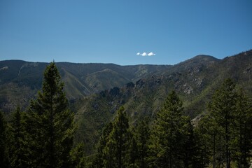 mountain landscape with trees
