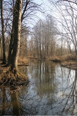 Fototapeta na wymiar River in the winter in Czech ountryside