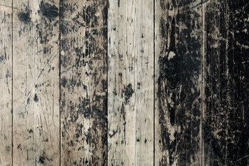 Flat lay. Top feed on wooden shabby old floor. Loft dark background. space for text