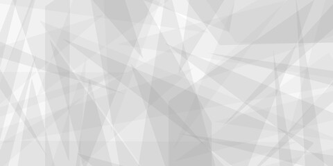 Fototapeta premium beautiful abstract black and white geometrical background pattern