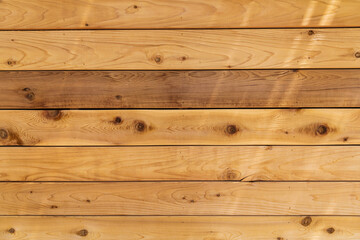 Fresh wall made of horizontal. softwood boards.  Ideal for background.
