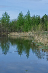 Pylypow Wetlands in the Spring