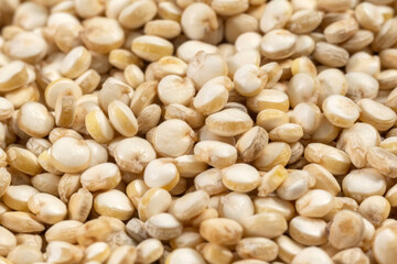 white quinoa seeds close-up macro selective focus. background texture