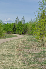 Hiking at the Pylypow Wetlands