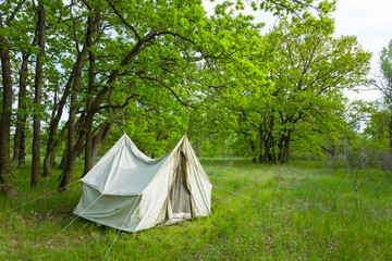 old authentic touristic tent stay on green forest glade, outdoor travel  scene
