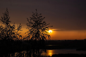 Sunset by the lake. Tree silhouette on sky background. Nature landscape