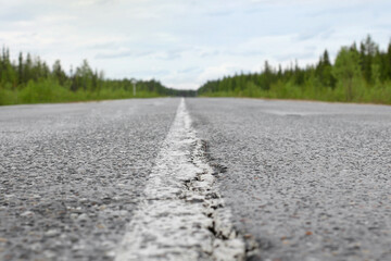 road in the forest, asphalt road stretching into the distance