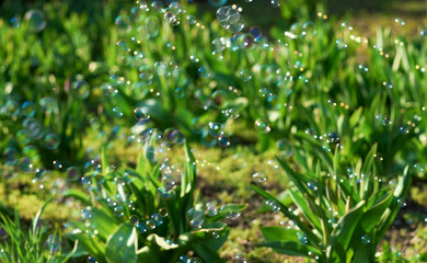 blurry soap bubbles on a colorful blurry background