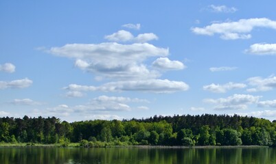 green forest with blurred reflection in river against background of white clouds on blue sky