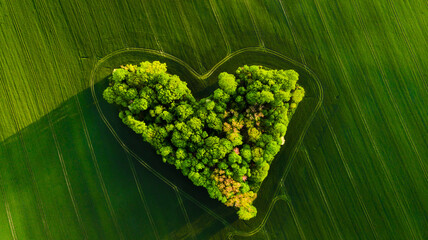 Aerial view of a heart-shaped green landscape