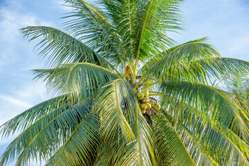 Obraz premium At sunset period, Tropical beach with Blue sky and clear sea. the summer beach to take a vacation period for relaxing.