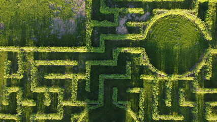 Green maze from the above
